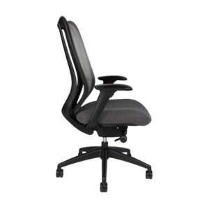 Cloud Chair, Black Mesh Back w/Charcoal-Gray Fabric Seat